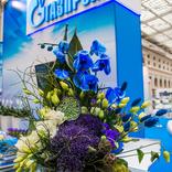 выставочный стенд, стенд для оао "газпром"