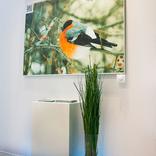 выставочный стенд, stand for tomsk region