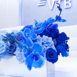 выставочный стенд, stand for vtb bank